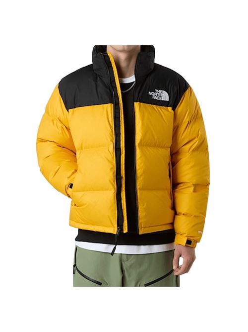 Giaccone da uomo in piuma d'oca, trapuntato , cappuccio ripiegabile, colore gold/black. THE NORTH FACE | NF0A3C8DGO81